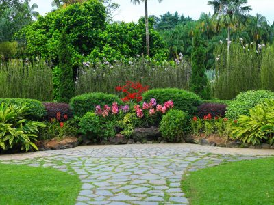 Singapore, Singapore - June 05, 2017 : Green nature Singapore Botanic Garden in Singapore