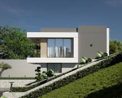 corals7